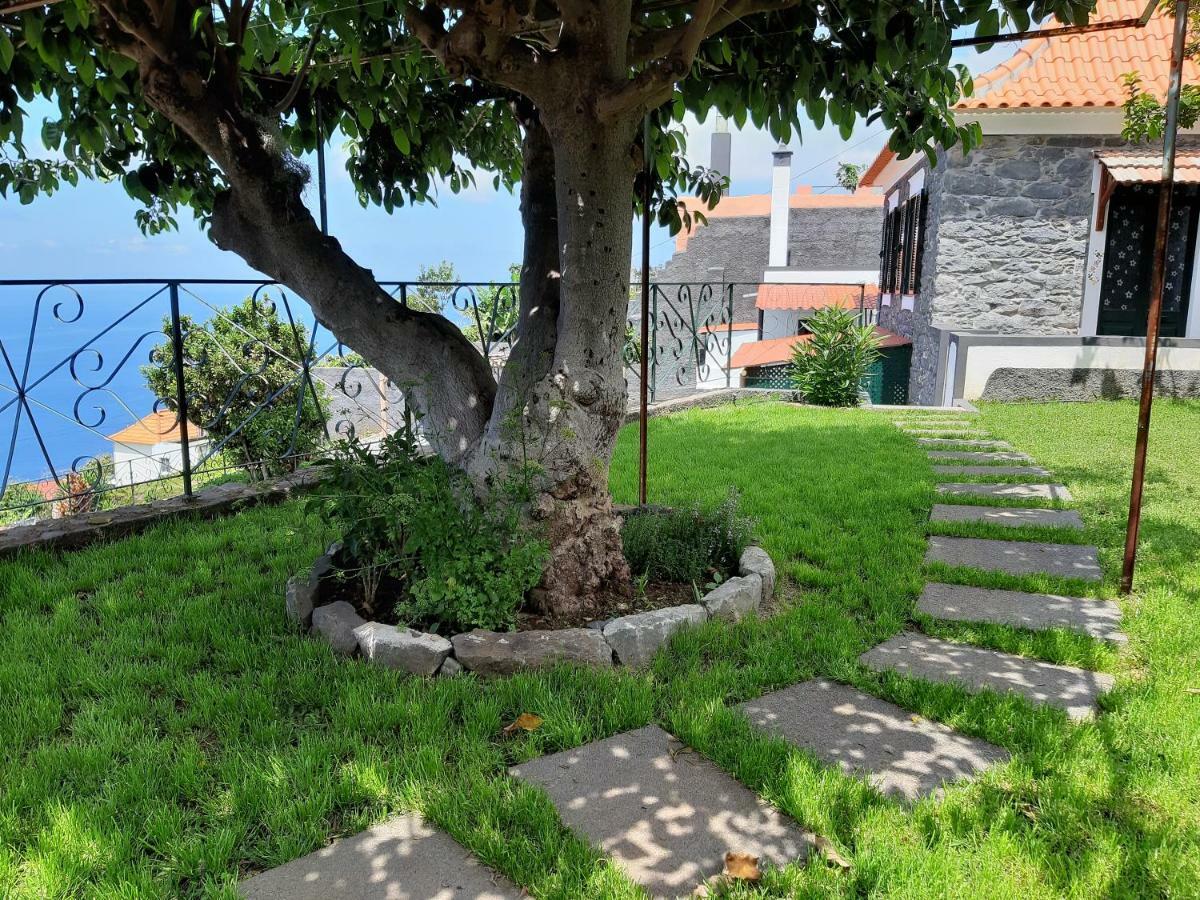 Casa Velha D Fernando E Casa Avo Augusta Hotel Ribeira Brava Exterior photo
